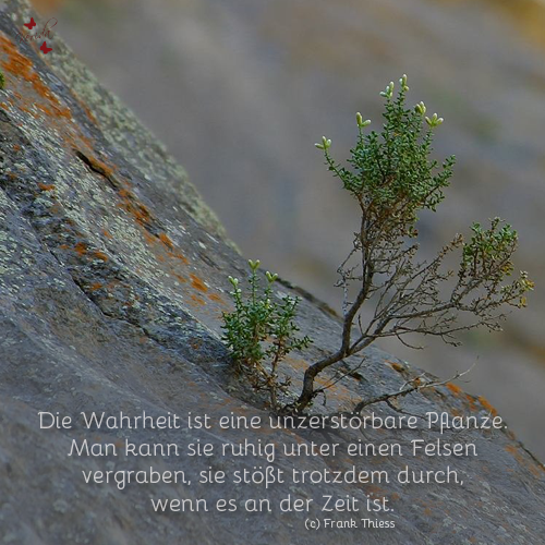 Wahrheit...